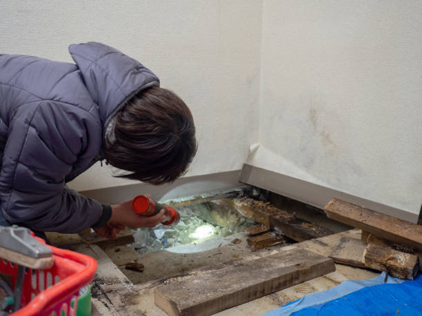 Mold Remediation for Rental Properties in Bayboro, NC