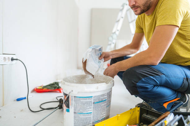 Best Mold Odor Removal Services  in Bayboro, NC