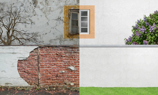Best Residential Mold Inspection & Testing  in Bayboro, NC