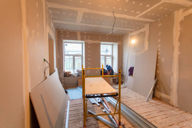 Best Attic Mold Removal  in Bayboro, NC